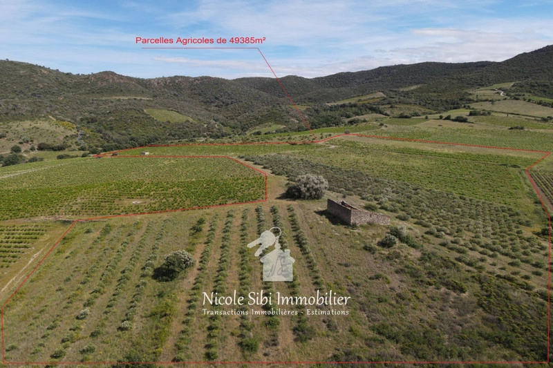 2 - vente terrain montner pyrénées-orientales france