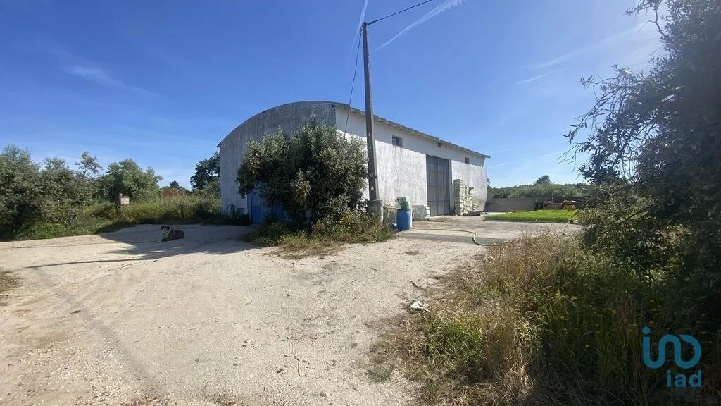 2 - venta terreno abrantes región centro portugal