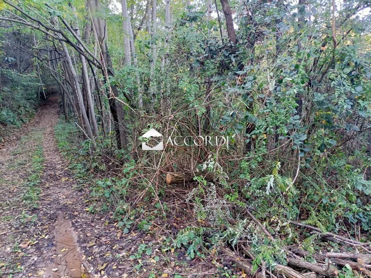 2 - plot of land for sale in volpago del montello veneto italy