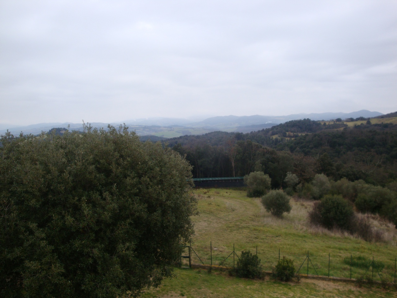 2 - vendita terreno riparbella toscana italia
