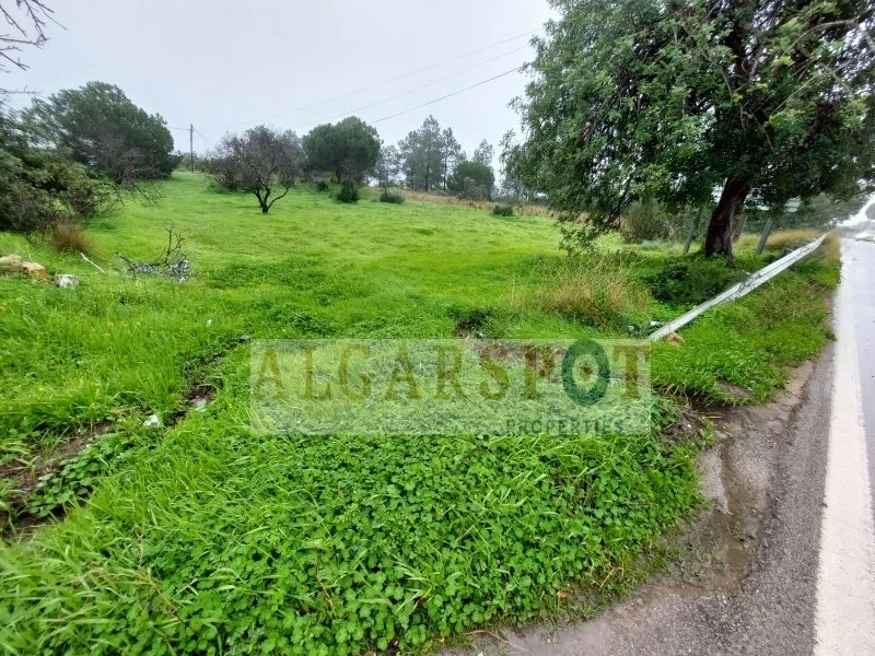Terreno de 3 500 m²