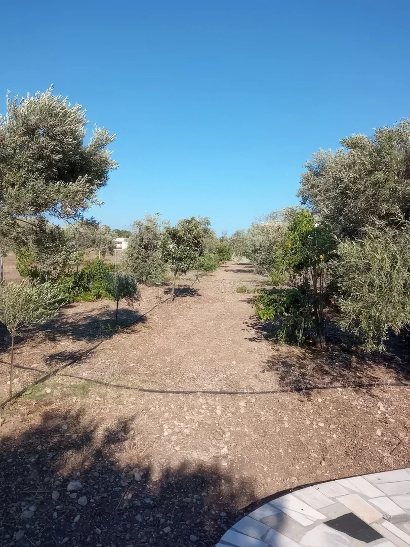2 - vente maison afántou egée méridionale grèce
