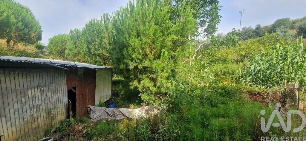 2 - plot of land for sale in mafra lisbon region portugal