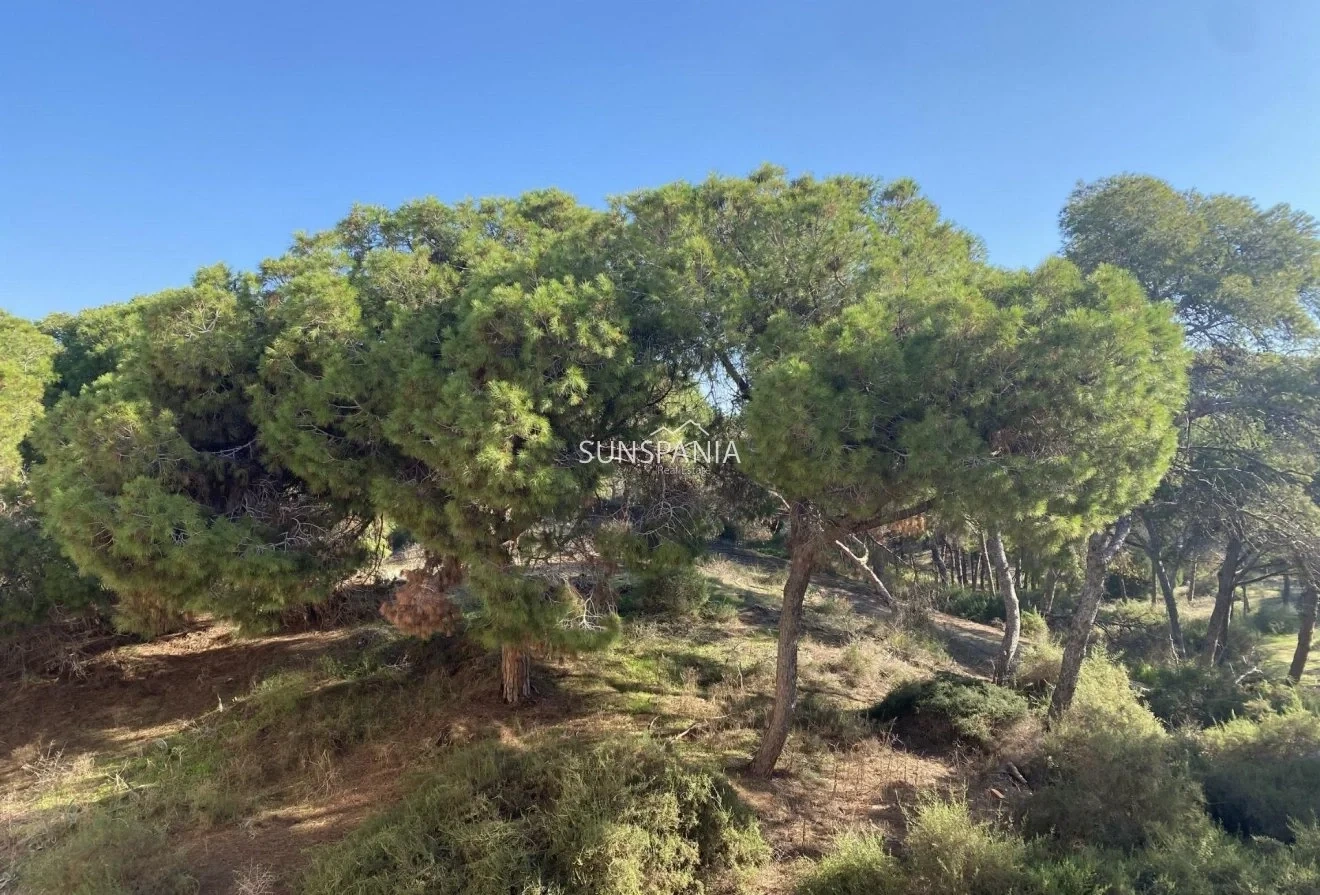 2 - verkauf wohnung meerblick guardamar del segura valencia spanien