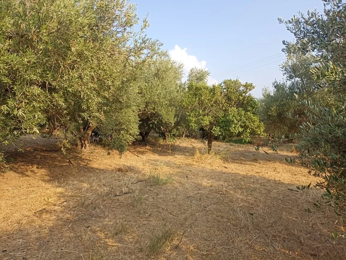 1 - vente terrain siríli crète grèce