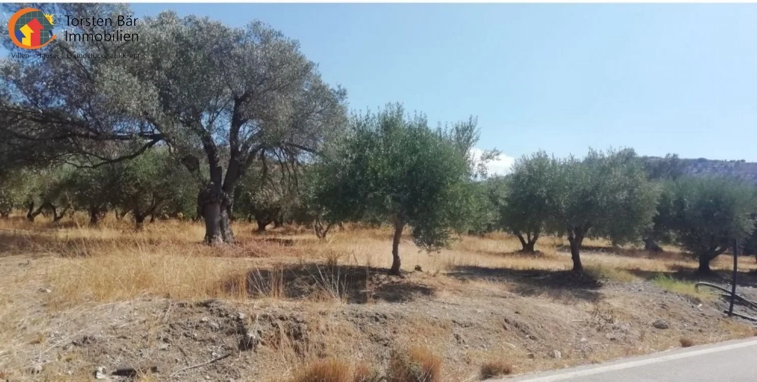 1 - plot of land for sale in kousés crete greece