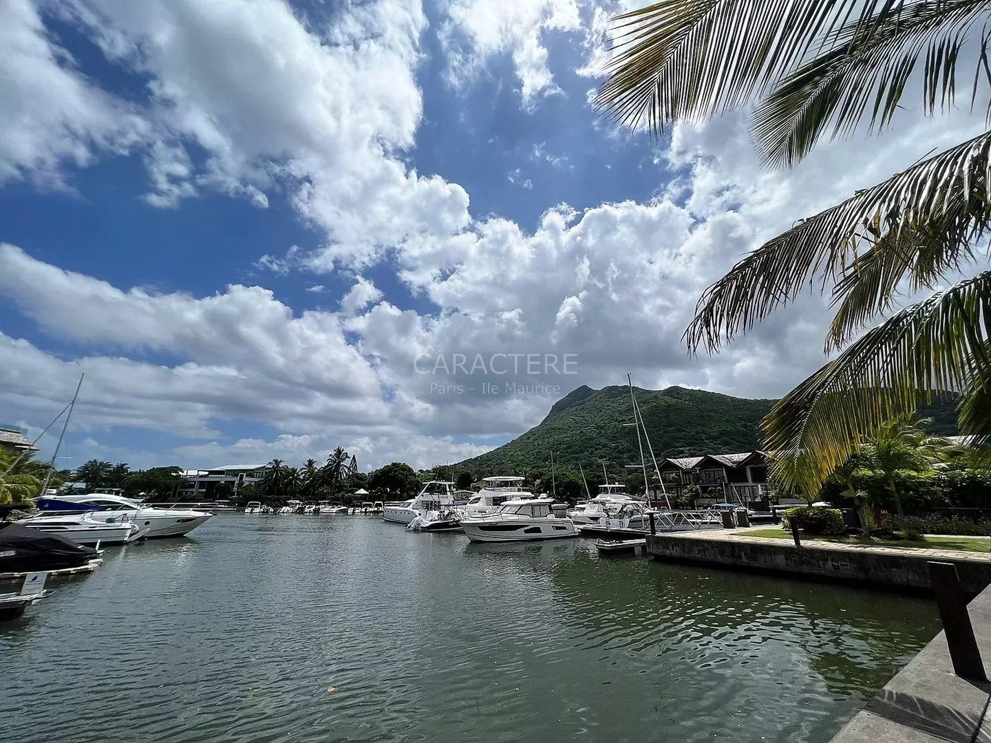 2 - verkauf haus black river rivière noire mauritius