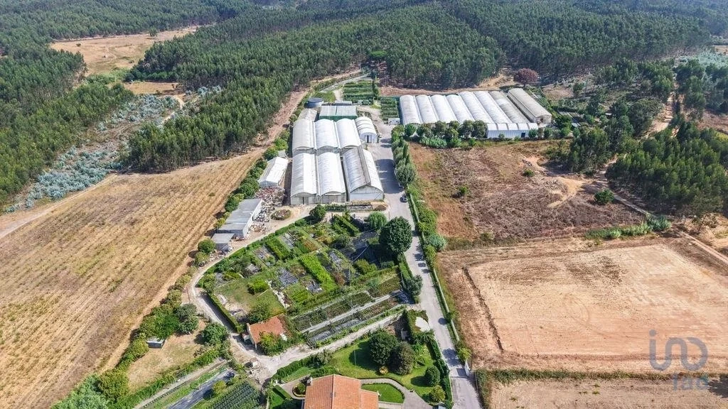 1 - venta comercio torres vedras región centro portugal