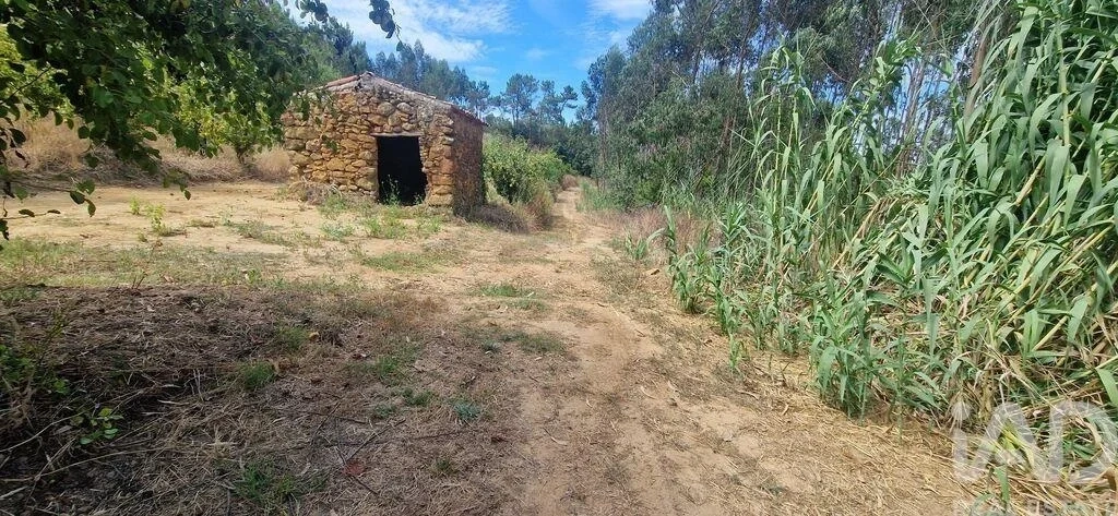 2 - plot of land for sale in mafra lisbon region portugal