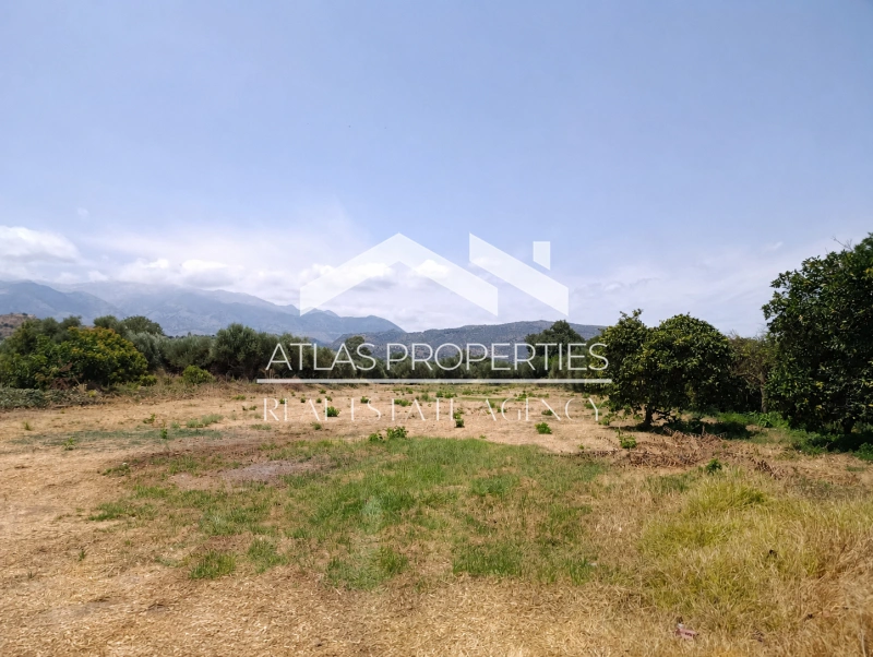 1 - vente terrain arménoi crète grèce