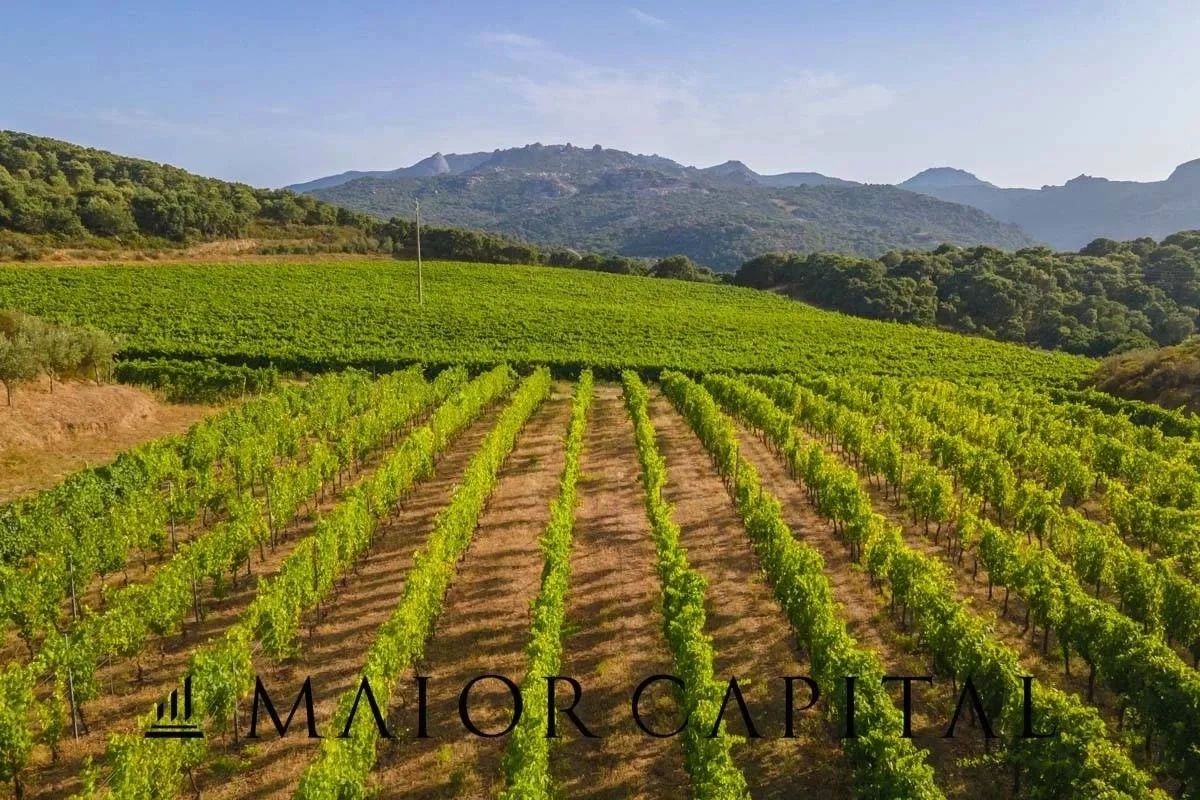 2 - venta terreno calangianus cerdeña italia