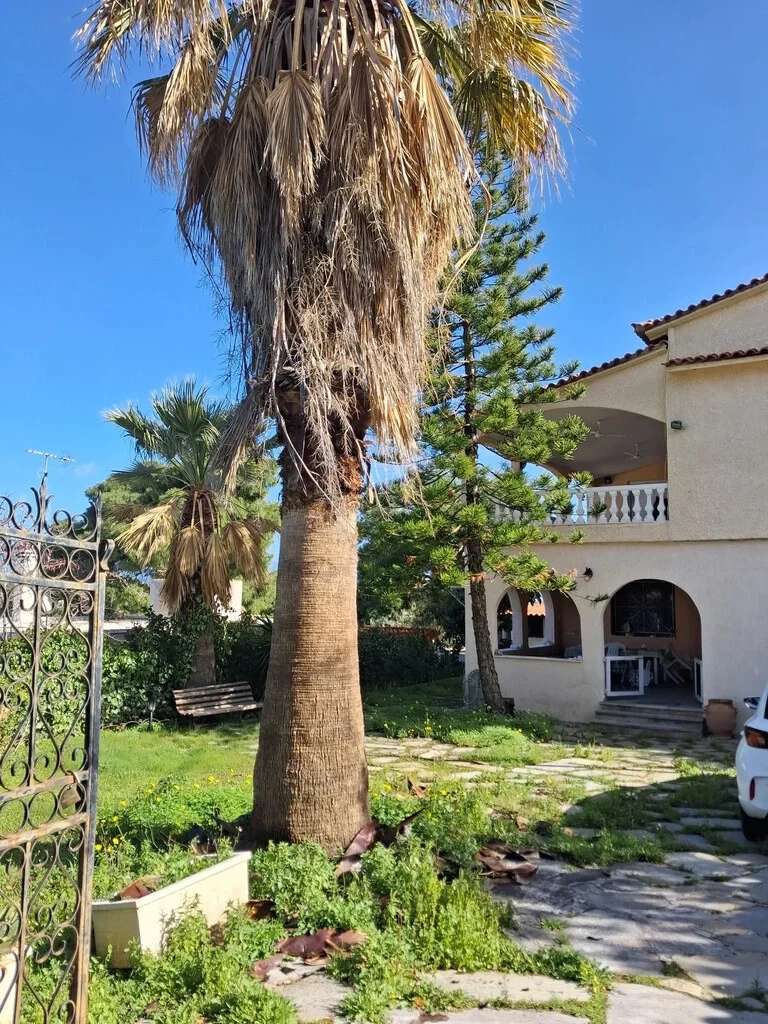 2 - vente maison vue mer vamvakes péloponnèse grèce