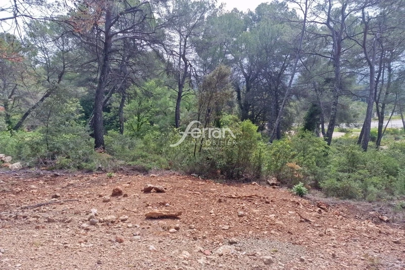 1 - vente terrain salernes var france