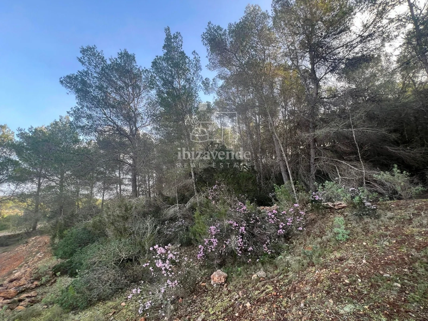 2 - venta propiedad santa gertrudis de fruitera ibiza - islas baleares españa