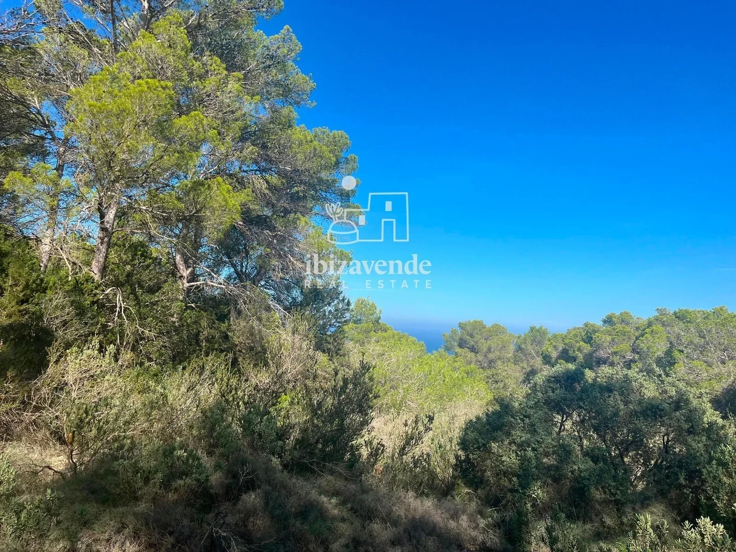 1 - vendita proprietà sant josep de sa talaia ibiza - baleari spagna