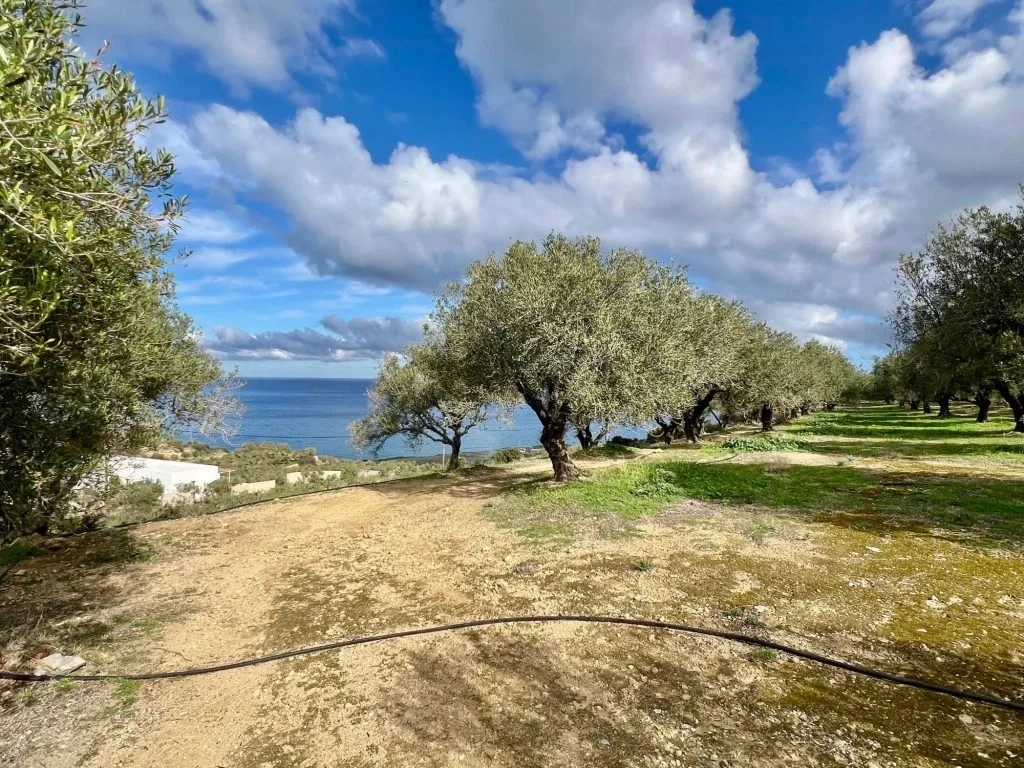 2 - verkauf grundstück meerblick mókhlos kreta griechenland