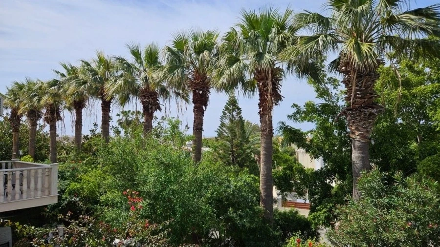 2 - vente maison vue mer paphos paphos chypre