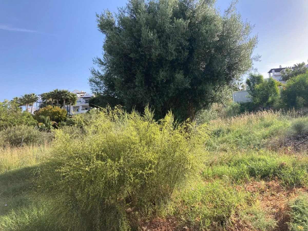 2 - verkauf grundstück benahavis - costa del sol andalusien spanien