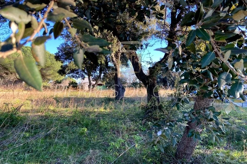 2 - vente terrain saint-quentin-la-poterie gard france