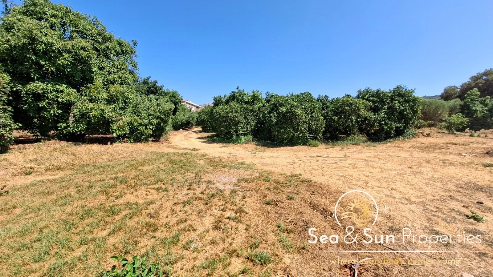 2 - plot of land for sale in arménoi crete greece