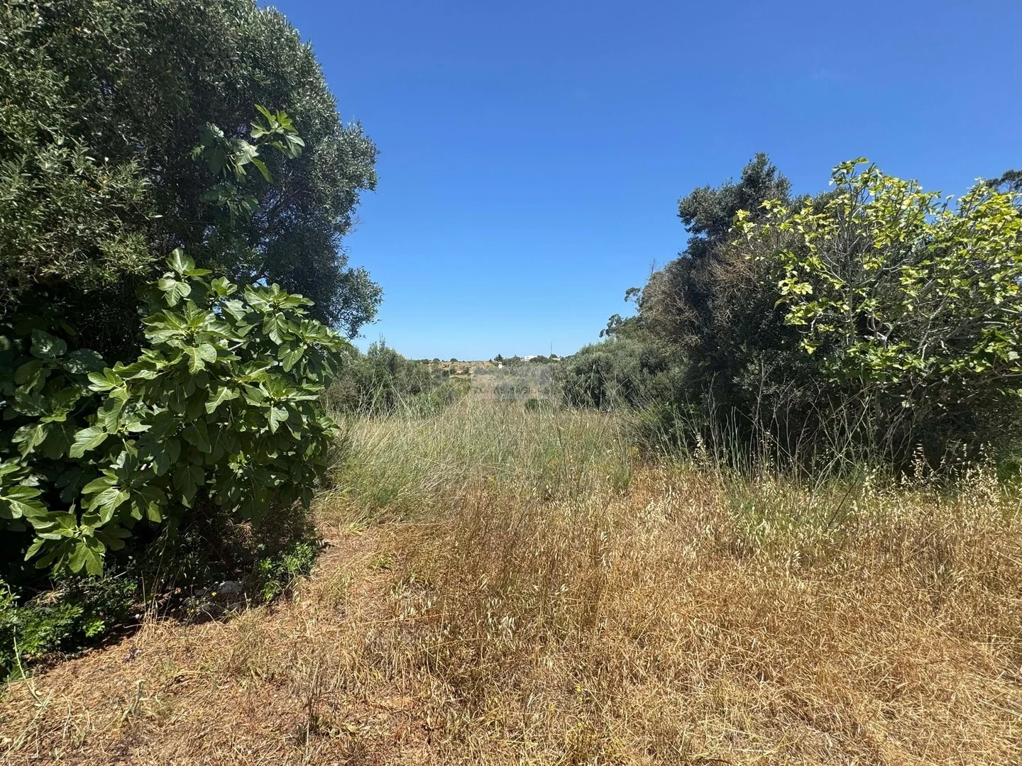 1 - venta terreno lagos algarve portugal