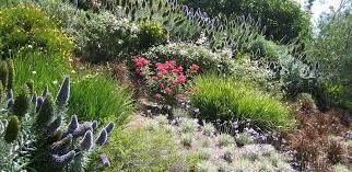2 - sea view business for sale in manciano tuscany italy