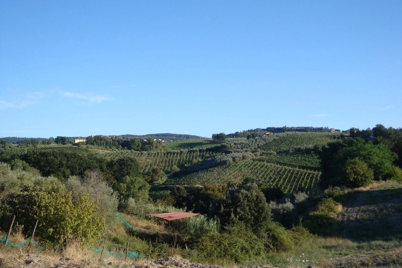 2 - vente terrain montaione toscane italie