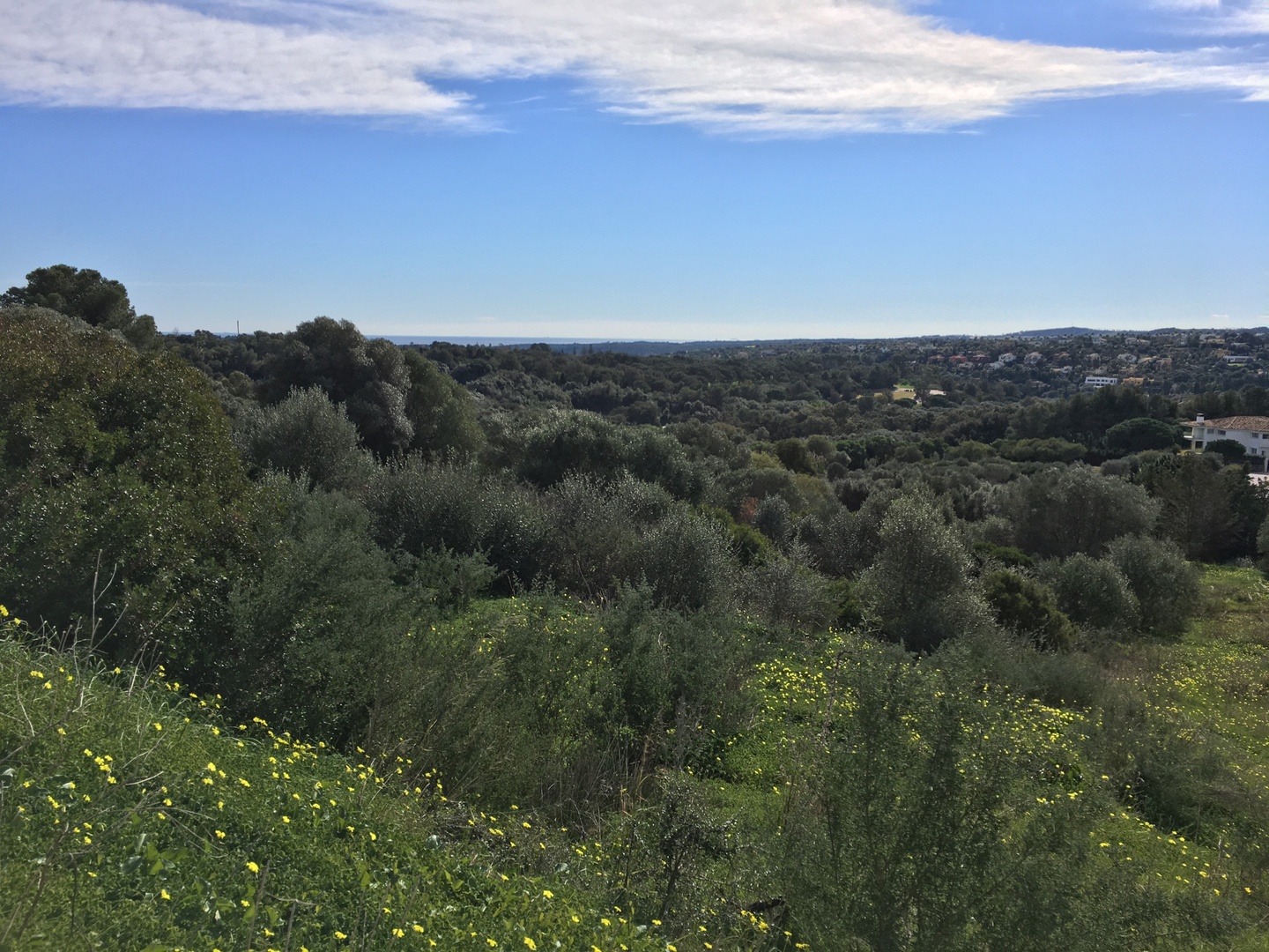 1 - sea view plot of land for sale in sotogrande andalusia spain