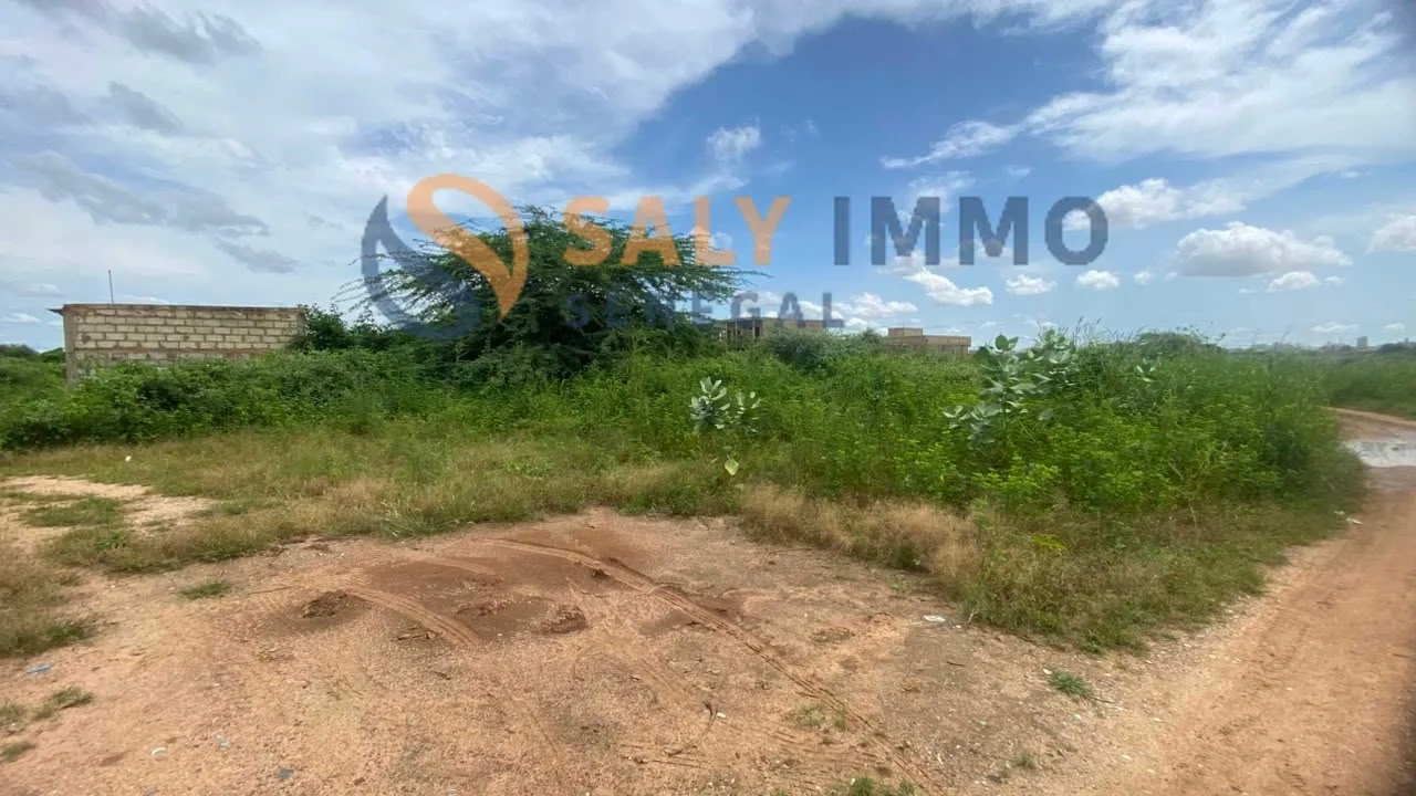 2 - vente terrain saly portudal thiès sénégal