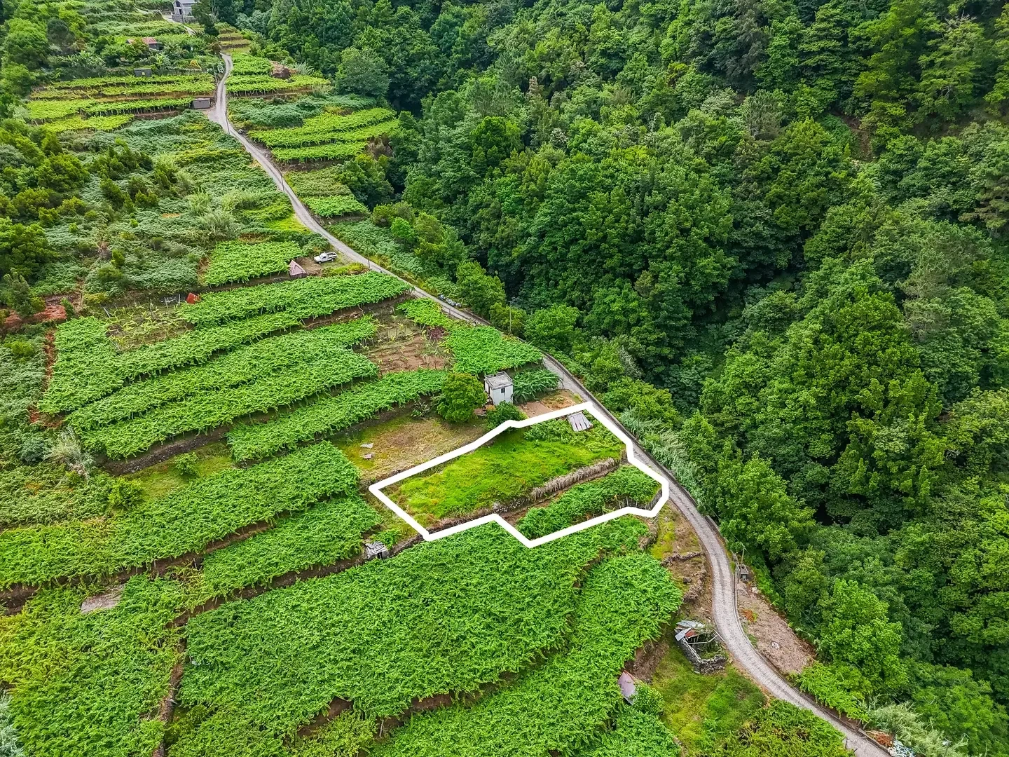 1 - plot of land for sale in são vicente madeira portugal