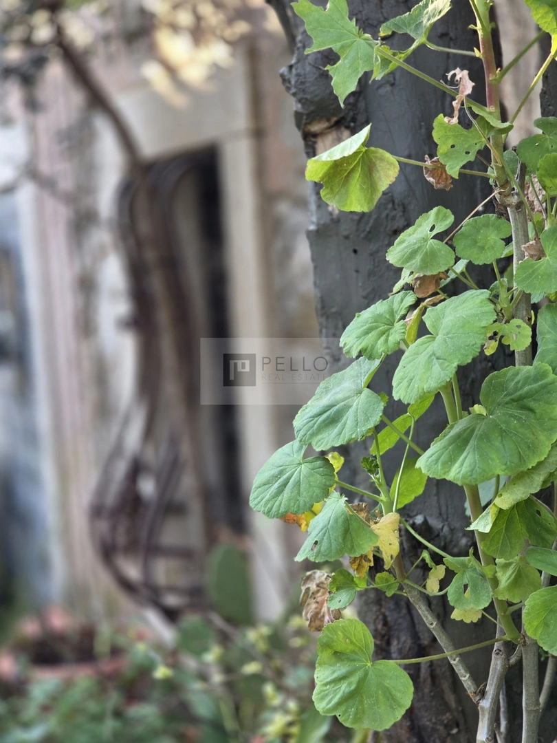 2 - venta casa orebić dubrovnik-neretva croacia
