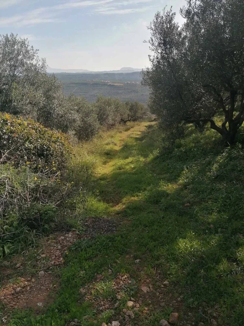 1 - vente terrain spiliá crète grèce