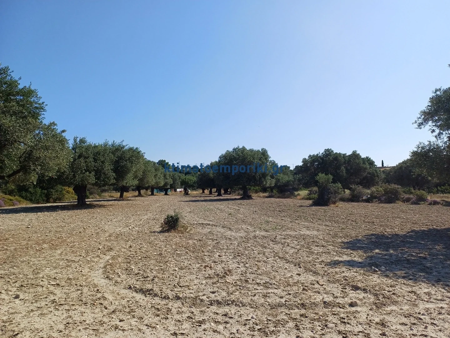 1 - vente terrain afántou egée méridionale grèce