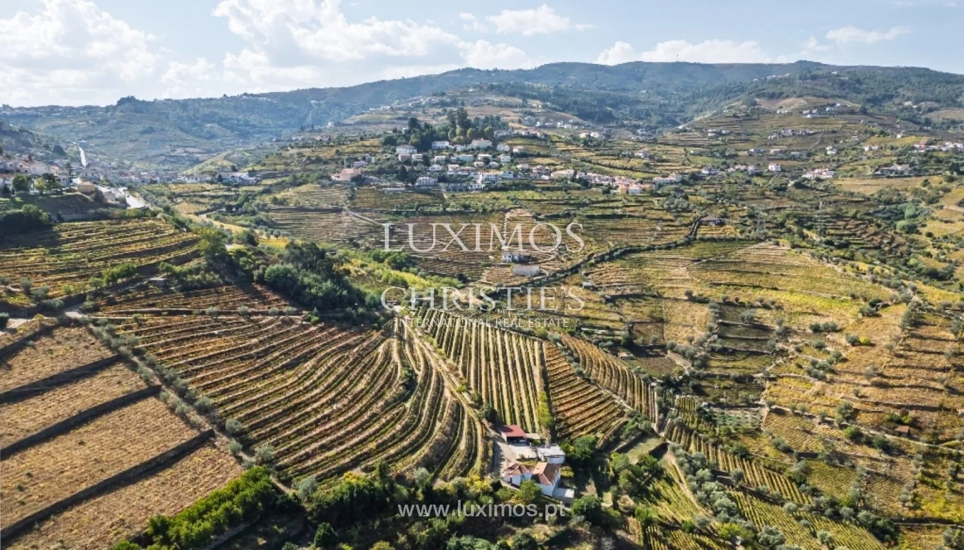 1 - venta propiedad lamego región norte portugal