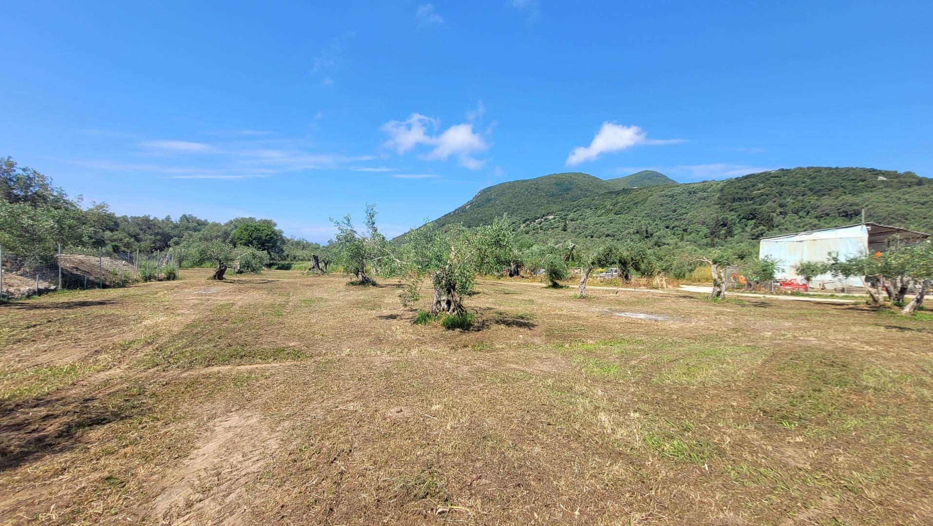2 - vendita terreno corfu isole ioniche grecia