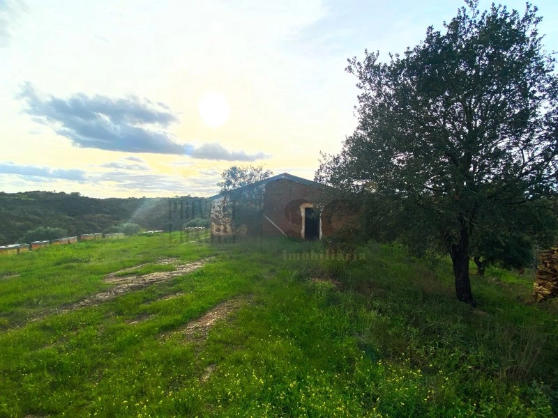2 - sea view house for sale in serpa alentejo portugal