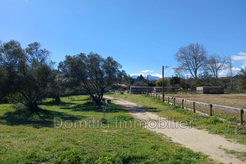 1 - house for sale in saint-jean-pla-de-corts pyrénées-orientales france