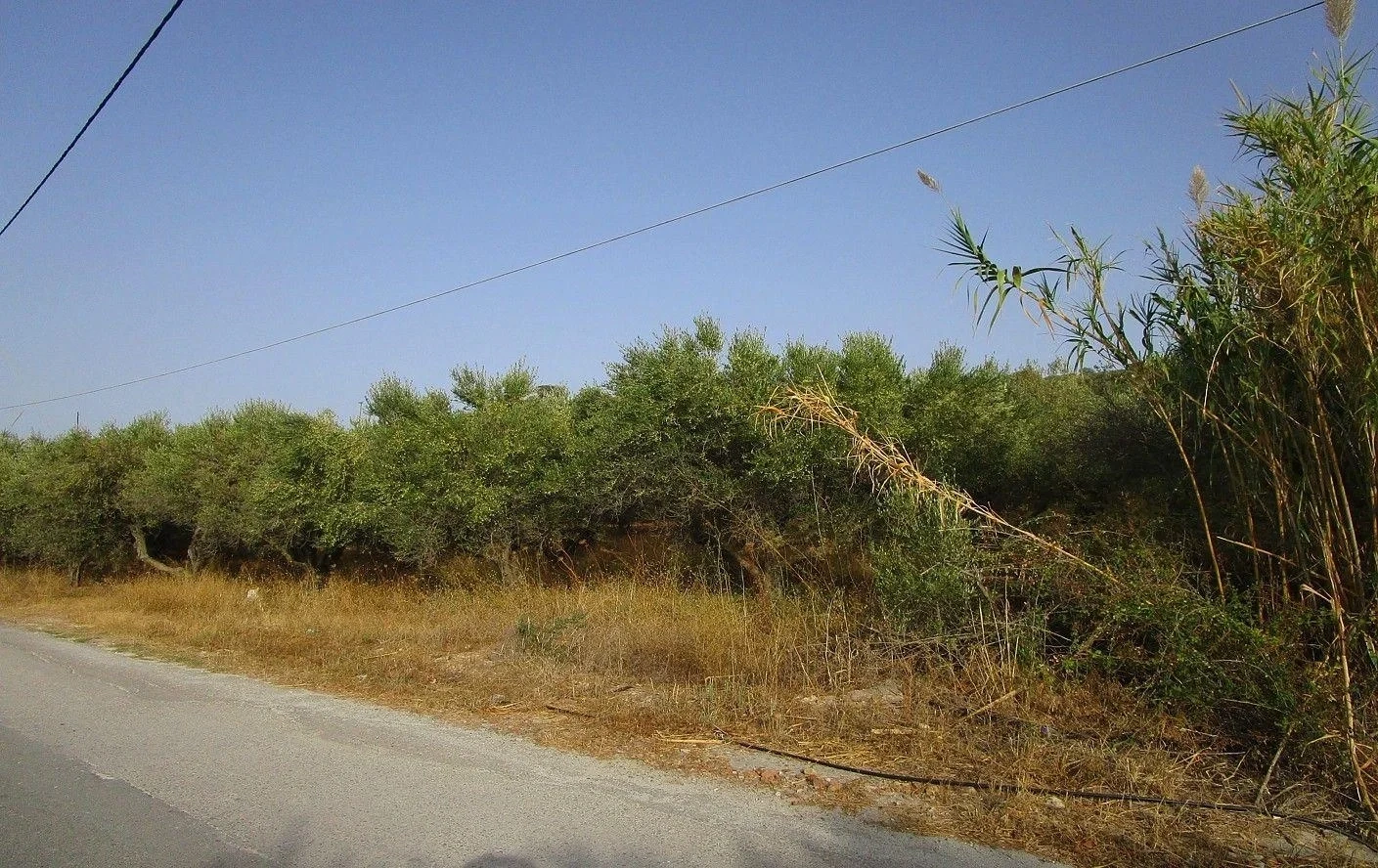 1 - plot of land for sale in tavronitis crete greece