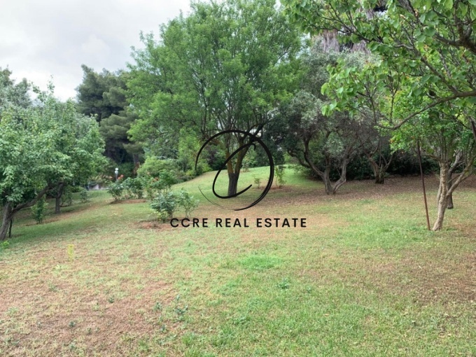 1 - vente terrain ekali attique grèce