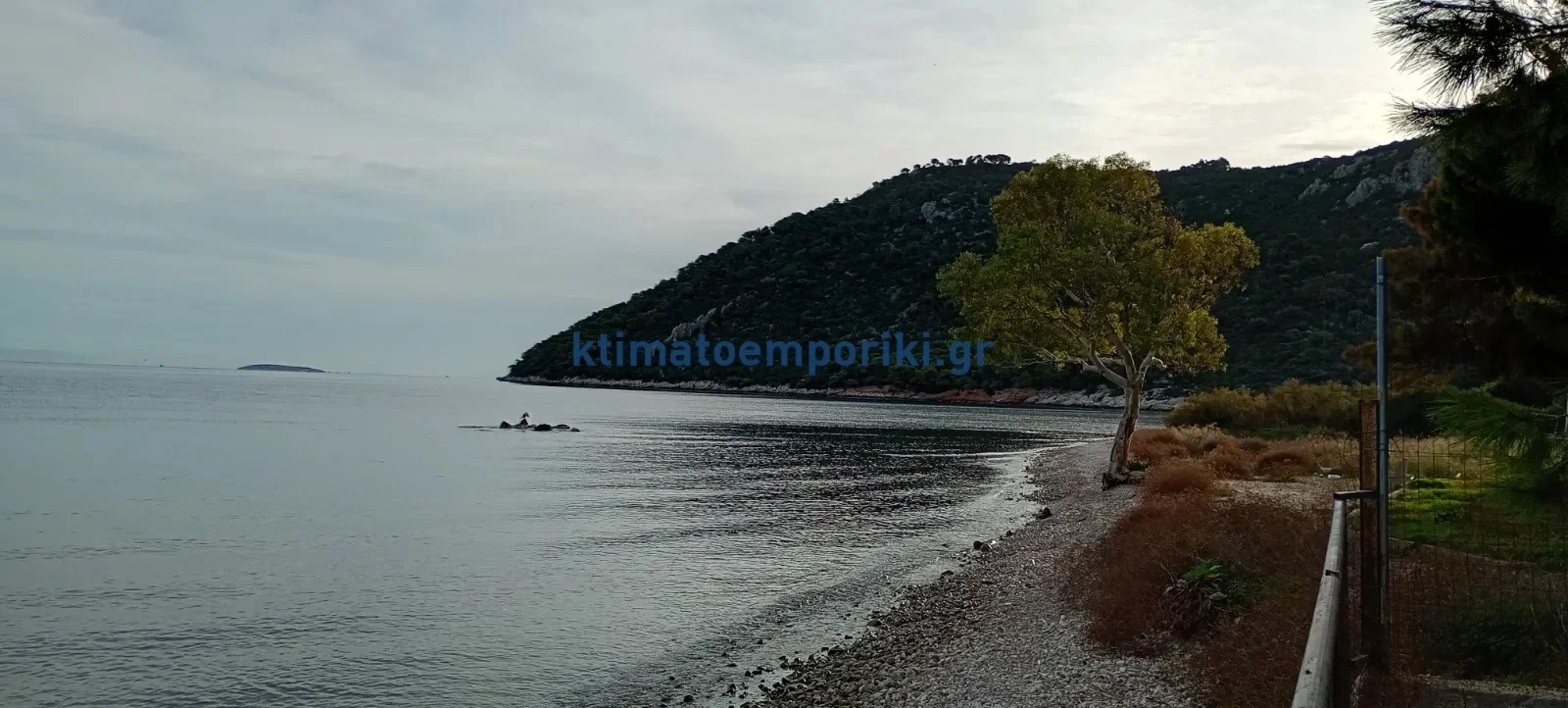2 - vente commerce pieds dans l'eau saronikos péloponnèse grèce