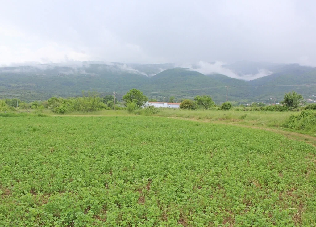 2 - beach walk plot of land for sale in skotína central macedonia greece