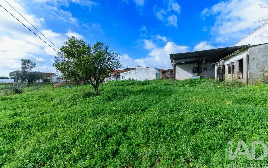 2 - plot of land for sale in santarém alentejo portugal