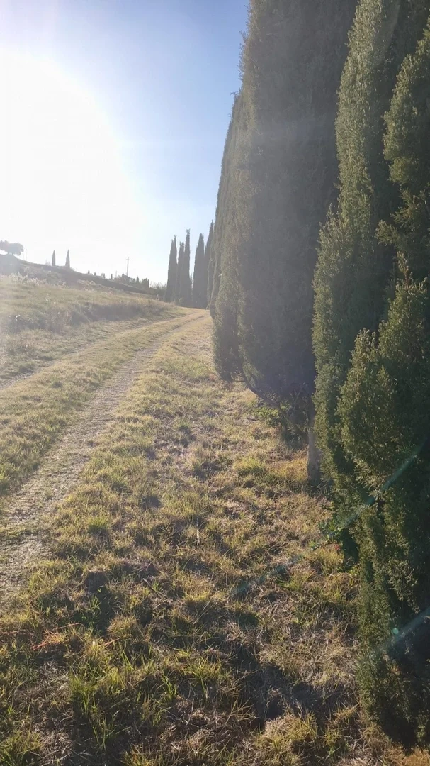 2 - venta propiedad cinigiano toscana italia