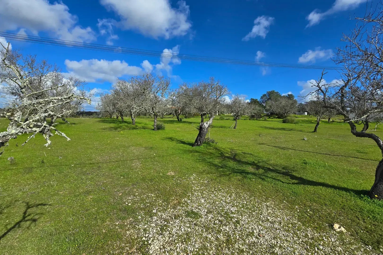 2 - plot of land for sale in albufeira algarve portugal