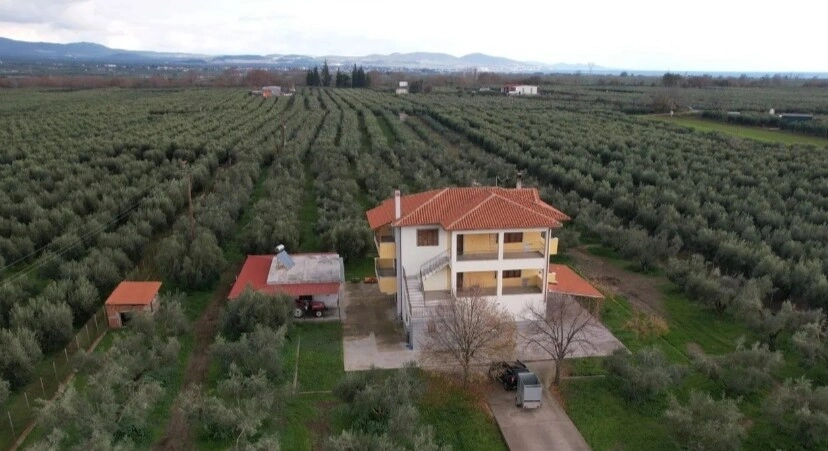 2 - vendita proprietà vista mare ólinthos macedonia centrale grecia