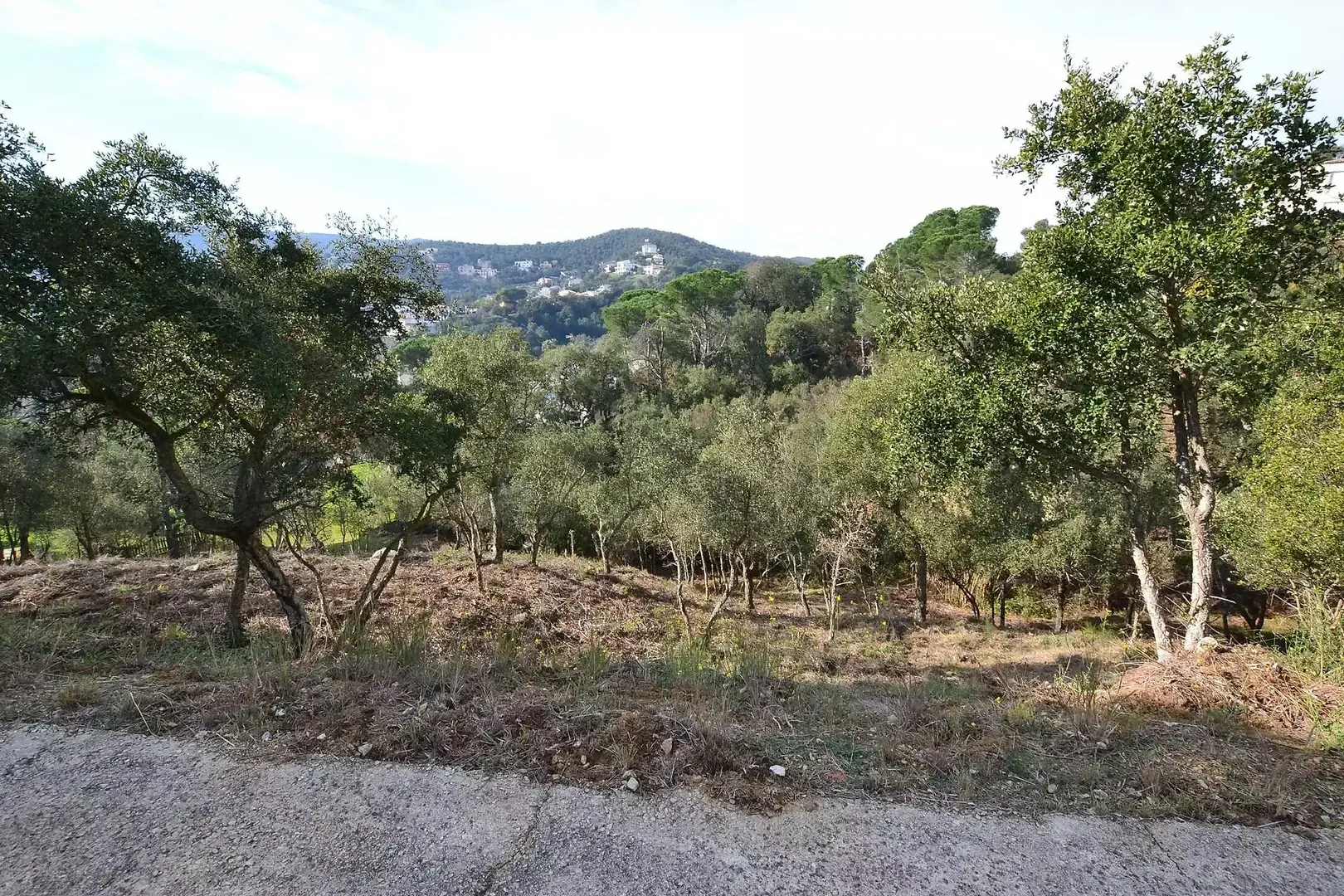 2 - venda terreno calonge catalunha espanha