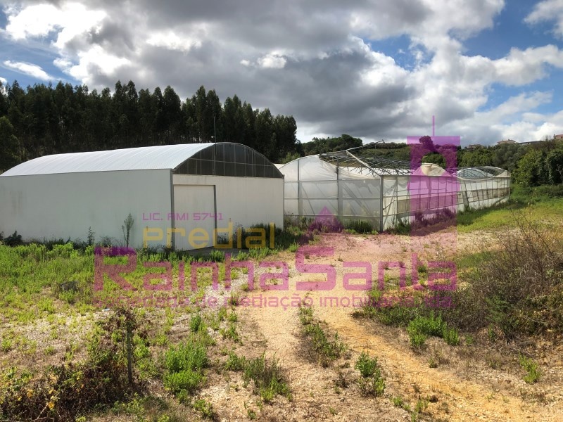 2 - venta terreno samuel región centro portugal