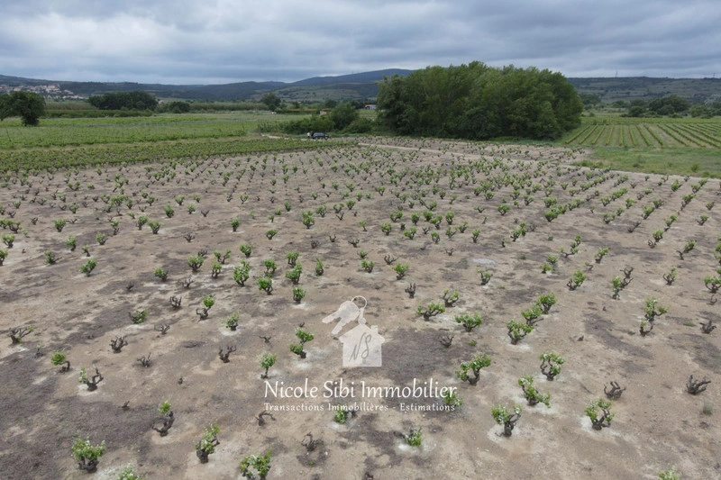 1 - vendita terreno estagel pirenei-orientali francia
