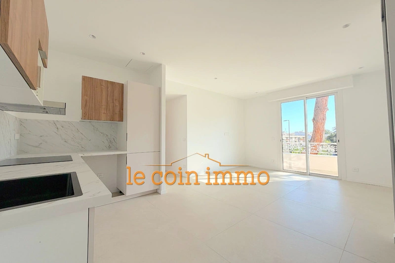 1 - vente appartement plage à pied juan les pins alpes-maritimes france
