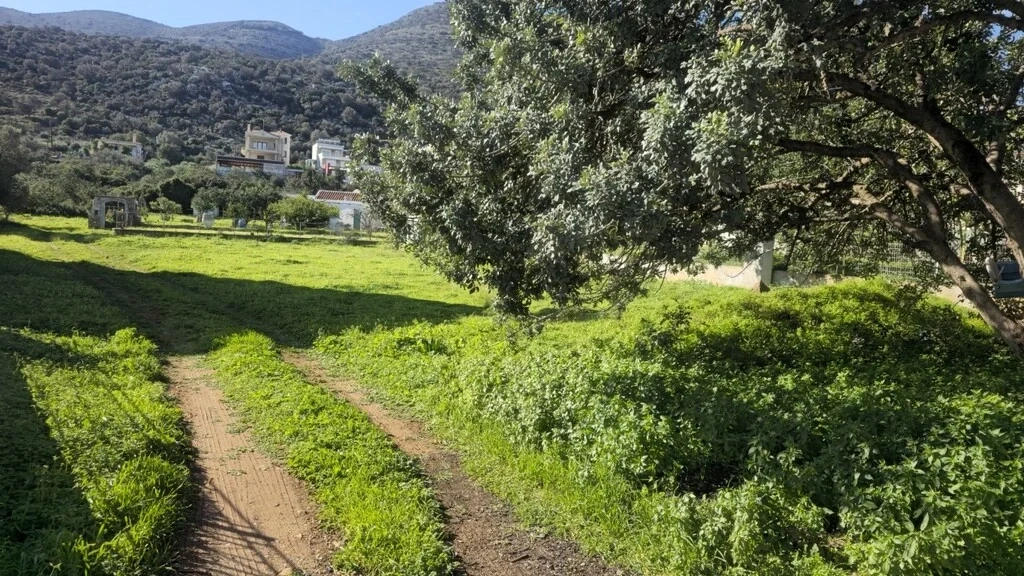 2 - venda terreno a praia ao pé stalís creta grécia